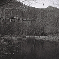 peaceful reflection